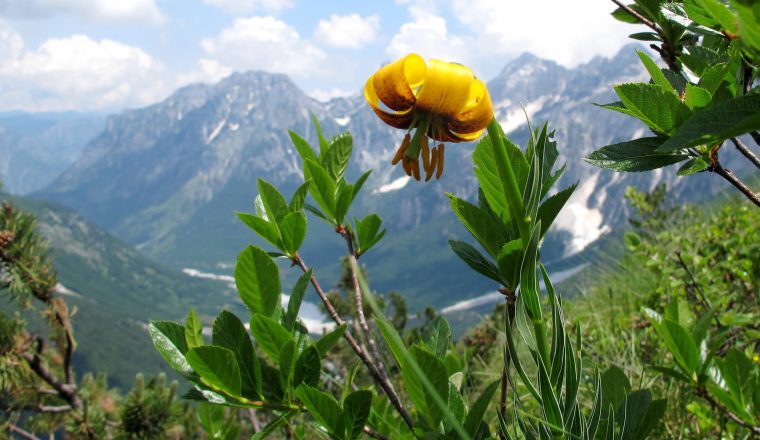 Valbona 1