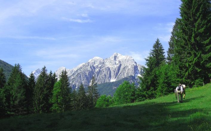 Julian Alps Peak walk